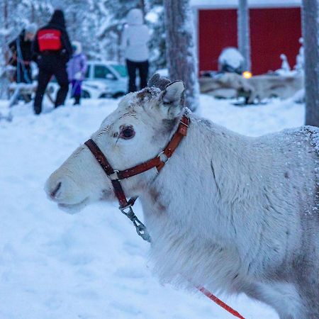 Skyfire Village Igloos Ροβανιέμι Εξωτερικό φωτογραφία