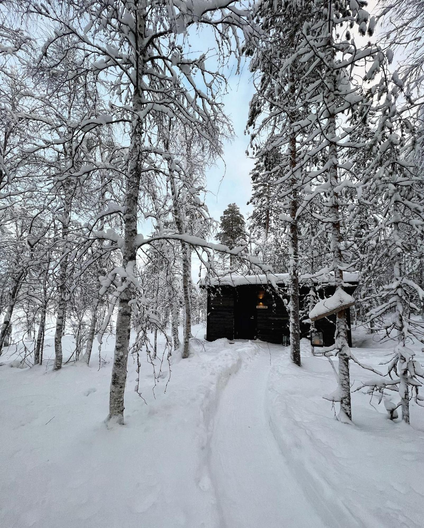 Skyfire Village Igloos Ροβανιέμι Εξωτερικό φωτογραφία